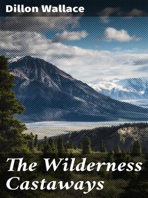 cover image of The Wilderness Castaways